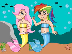 Size: 1242x937 | Tagged: safe, artist:ocean lover, fluttershy, rainbow dash, fish, human, mermaid, starfish, g4, 20% cooler, arm behind back, arrogant, bandeau, bare midriff, bare shoulders, bashful, belly, belly button, best friends, blue eyes, boulder, bubble, child, clam, cocky, confident, cute, dashabetes, duo, duo female, female, fins, fish tail, flexing, hair over one eye, humanized, innocent, kelp, kids, kindness, light skin, long hair, looking at you, loyalty, magenta eyes, mermaid tail, mermaidized, mershy, midriff, ms paint, multicolored hair, ocean, pink hair, rainbow hair, rock, seashell, seaweed, shy, shyabetes, smiling, smiling at you, smirk, species swap, swimming, tail, tail fin, underwater, water, young fluttershy, younger