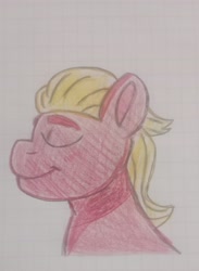 Size: 2292x3128 | Tagged: safe, sprout cloverleaf, earth pony, pony, g5, digital sheet, eyes closed, happy, photo, solo