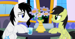 Size: 2082x1086 | Tagged: safe, artist:rogan140, oc, oc:sadie park, oc:shane park, pegasus, g4, flower, vase