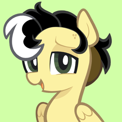 Size: 5000x5000 | Tagged: safe, artist:pilesofmiles, oc, oc only, oc:alice azalea, pegasus, pony, g4, eyebrows, green background, green eyes, icon, lidded eyes, open mouth, simple background, skunk stripe