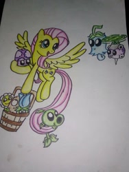 Size: 768x1024 | Tagged: safe, artist:towny-san, fluttershy, pegasus, g4, crossover, dandelion, female, ghost pepper, mare, moonflower, mushroom, peashooter, plant, plants vs zombies, puff-shroom, rotobaga, traditional art