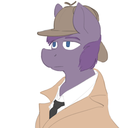 Size: 3000x3000 | Tagged: safe, artist:acey, derpibooru exclusive, oc, oc only, oc:iron glare, clip studio paint, clothes, colored, deerstalker, detective, hat, necktie, simple background, solo, trenchcoat, white background