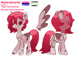 Size: 4096x3072 | Tagged: safe, artist:metaruscarlet, oc, oc only, oc:metaru scarlet, pegasus, pony, agender pride flag, english, folded wings, omnisexual pride flag, pegasus oc, pride, pride flag, reference sheet, simple background, spotted, text, transparent background, wings