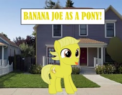 Size: 1594x1234 | Tagged: safe, artist:memeartboi, oc, earth pony, pony, g4, banana, banana boy, banana joe, colt, colt oc, content, cute, earth pony oc, foal, food, male, male oc, outdoors, ponified, solo, standing, text, the amazing world of gumball, tongue out