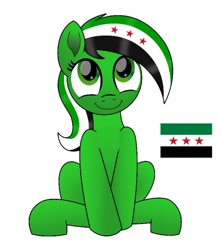 Size: 684x772 | Tagged: safe, anonymous artist, artist:pananovich, oc, oc only, oc:syriana, earth pony, pony, /mlpol/, alternative design, base used, current events, nation ponies, ponified, smiling, solo, syria