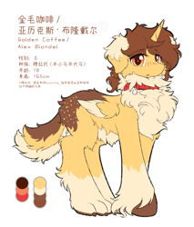 Size: 1422x1666 | Tagged: safe, artist:焰心fireworks, oc, oc:golden coffee, alicorn, dog, dog pony, hybrid, original species, male, reference sheet