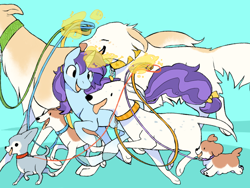 Size: 900x675 | Tagged: safe, artist:bananasmores, oc, oc only, oc:party popper, chihuahua, dalmatian, dog, jack russell terrier, pony, unicorn, g4, borzoi, great pyrenees, horn, shih tzu, unicorn oc