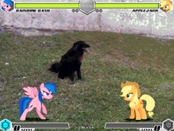 Size: 993x745 | Tagged: safe, artist:tom artista, applejack, firefly, rainbow dash, dog, earth pony, pegasus, fighting is magic, g1, g4, black dog, female, game screencap, grass, outdoors, recolor, stage, wall