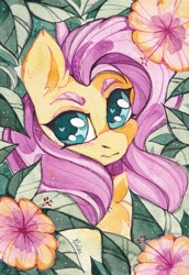 Size: 640x932 | Tagged: safe, artist:lilac clime, fluttershy, pegasus, pony, g4, chest fluff, cute, female, flower background, looking at you, mare, solo, traditional art, watercolor painting, watermark