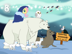 Size: 1440x1080 | Tagged: safe, artist:bronybyexception, fluttershy, arctic fox, bear, bird, fox, owl, penguin, polar bear, seagull, seal, g4, arctic, aurora borealis, cloak, clothes, hood, parka, road sign, snow, vector use