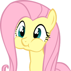 Size: 896x891 | Tagged: safe, artist:landboom, fluttershy, pony, g4, puffy cheeks, simple background, solo, transparent background, vector