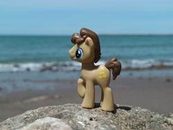 Size: 4000x3000 | Tagged: safe, artist:dingopatagonico, concerto, earth pony, g4, photo, solo, toy