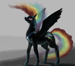 Size: 1032x900 | Tagged: safe, artist:moo, rainbow dash, pegasus, pony, g4, drawthread, ethereal mane, ethereal tail, female, long mane, long tail, mare, nightmare rainbow dash, nightmarified, outdoors, raised head, slender, slit pupils, solo, spread wings, standing, tail, tall, thin, wings