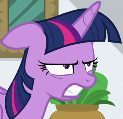 Size: 538x517 | Tagged: safe, screencap, twilight sparkle, alicorn, pony, friendship university, g4, season 8, angry, cropped, female, gritted teeth, mare, solo, teeth, twilight sparkle (alicorn), twilight sparkle is not amused, unamused