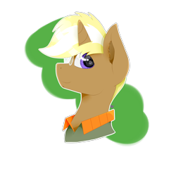 Size: 2000x2000 | Tagged: safe, artist:kathepart, trenderhoof, pony, unicorn, g4, clothes, glasses, male, purple eyes, simple background, solo, stallion, transparent background