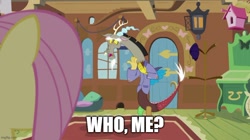 Size: 888x499 | Tagged: safe, edit, edited screencap, screencap, discord, fluttershy, draconequus, pegasus, pony, g4, make new friends but keep discord, caption, fluttershy's cottage (interior), image macro, imgflip, text