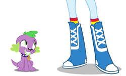 Size: 1887x1137 | Tagged: safe, anonymous artist, rainbow dash, spike, dog, human, equestria girls, g4, beautiful, boots, boots shot, clothes, cute, high heel boots, legs, male, pictures of legs, pretty, rainbow socks, sexy, shoes, simple background, socks, spike the dog, striped socks, white background
