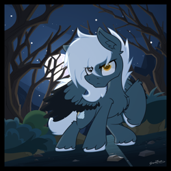Size: 2000x1999 | Tagged: safe, alternate version, artist:sherathoz, oc, oc only, oc:tempest streamrider, pony, commission, everfree forest, forest, male, moon, nature, night, solo, tree