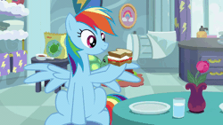 Size: 800x450 | Tagged: safe, artist:octosquish7260, rainbow dash, tank, pegasus, pony, tortoise, g4, animated, eating, egg (food), egg sandwich, female, flower, food, gif, glass, plate, rainbow dash's house, sandwich, table, vase, water
