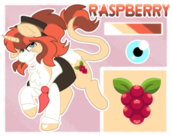 Size: 2500x2000 | Tagged: safe, artist:euspuche, oc, oc only, oc:raspberry, unicorn, clothes, female, looking at you, raba-pony, reference sheet, sassy, smiling, walking