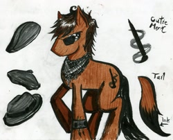 Size: 2209x1782 | Tagged: oc name needed, safe, artist:aetosachlys, oc, oc only, earth pony, pony, artist, bandana, cutie mark, earth pony oc, fedora, hat, male, pony oc, reference sheet, simple background, solo, stallion, sunglasses, traditional art, white background