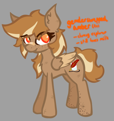 Size: 2200x2329 | Tagged: safe, artist:foxtrnal, oc, oc only, oc:amber wings, pegasus, pony, alternate hairstyle, alternate universe, amber eyes, bandage, female, freckles, gray background, mare, rule 63, simple background, solo, text
