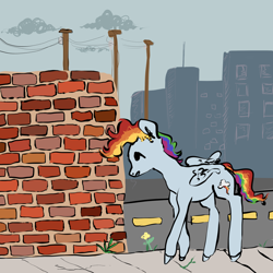 Size: 2500x2500 | Tagged: safe, artist:poniebones, rainbow dash, pegasus, pony, g4, brick wall, building, city, cityscape, female, folded wings, mare, open mouth, power line, road, sidewalk, solo, walking, wings