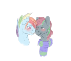 Size: 1000x856 | Tagged: safe, artist:ptg, rainbow dash, oc, oc:sky trotter, pegasus, pony, g4, blushing, bust, canon x oc, clothes, duo, duo male, gay, grin, lidded eyes, looking at each other, looking at someone, male, portrait, rainbow blitz, rule 63, scarf, simple background, smiling, stallion, striped scarf, white background