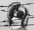 Size: 2822x2480 | Tagged: safe, artist:some_ponu, dj pon-3, vinyl scratch, g4, barbed wire, black and white, egor letov, female, grayscale, monochrome, solo