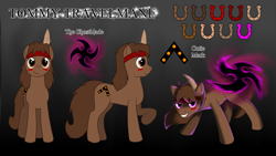 Size: 3840x2160 | Tagged: safe, artist:dustymooneye, artist:naughtycatnick, oc, oc only, oc:tommy travelmane, earth pony, pony, black background, feather, gradient background, multiple views, reference sheet, solo