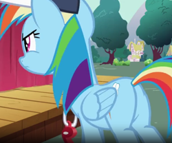 Size: 1076x897 | Tagged: safe, screencap, rainbow dash, pegasus, pony, g4, may the best pet win, angry, butt, cap, coach rainbow dash, cropped, hat, plot, rainbow dashs coaching whistle, rainbutt dash, solo, stage, whistle