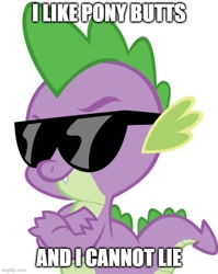 Size: 500x628 | Tagged: safe, spike, dragon, g4, caption, crossed arms, image macro, imgflip, male, simple background, solo, sunglasses, text, white background