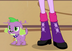 Size: 647x464 | Tagged: safe, edit, edited screencap, screencap, spike, twilight sparkle, dog, human, equestria girls, g4, my little pony equestria girls, boots, boots shot, confused, cropped, eyebrows, high heel boots, legs, pictures of legs, raised eyebrow, shoes