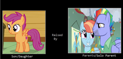 Size: 1025x497 | Tagged: artist needed, safe, anonymous artist, edit, edited screencap, screencap, bow hothoof, scootaloo, windy whistles, pony, g4, parental glideance, adopted, adopted daughter, adopted offspring, alternate universe, caption, female, filly, foal, headcanon, headcanon in the description, image macro, male, mare, meme, parent:bow hothoof, parent:windy whistles, rainbow dash's parents, raised, scootadoption, scootalove, smiling, stallion, text, what if