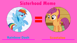 Size: 1598x900 | Tagged: artist needed, safe, anonymous artist, rainbow dash, scootaloo, g4, adopted, adopted offspring, caption, duo, female, filly, foal, grin, headcanon, headcanon in the description, image macro, mare, meme, scootadoption, scootalove, siblings, sisterhood meme, sisters, smiling, spread wings, text, wings