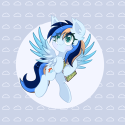 Size: 1280x1280 | Tagged: safe, artist:音灵灵, oc, oc only, oc:bright banner, pegasus, pony, blushing, book, eyelashes, male, pegasus oc, pony oc, solo