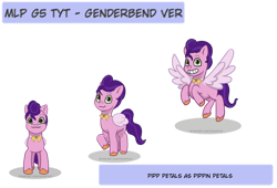 Size: 1024x697 | Tagged: safe, artist:zsnowfilez, pipp petals, pony, g5, male, pip corolla, rule 63, simple background, solo, transparent background