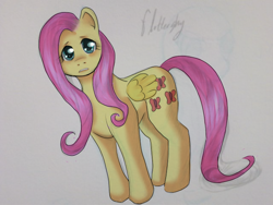 Size: 640x480 | Tagged: safe, artist:aisuroma, fluttershy, pegasus, pony, g4, cute, female, frown, mare, sad, sadorable, shyabetes, solo