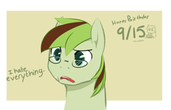 Size: 1280x823 | Tagged: safe, artist:aisuroma, oc, oc only, oc:voice of reason, earth pony, pony, bust, glasses, happy birthday, portrait, solo