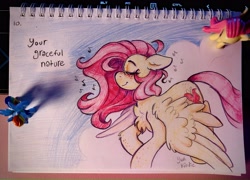 Size: 4030x2901 | Tagged: safe, artist:yumkandie, fluttershy, rainbow dash, pegasus, pony, g4, blushing, cloud, eyebrows, eyes closed, female, figurine, flying, graceful, lesbian, notes, pencil drawing, pillow, ship:flutterdash, shipping, solo, traditional art