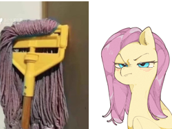 Size: 1600x1200 | Tagged: safe, artist:fengtuzihei, fluttershy, pegasus, pony, g4, female, fluttermop, fluttershy is not amused, grumpy, mare, mop, reference, simple background, solo, unamused, white background