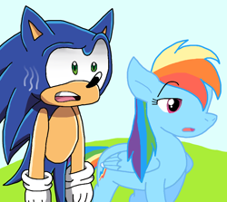 Size: 938x838 | Tagged: safe, artist:cmara, rainbow dash, hedgehog, pegasus, pony, g4, female, male, solo, sonic the hedgehog, sonic the hedgehog (series)