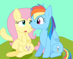 Size: 1046x848 | Tagged: safe, artist:cmara, fluttershy, rainbow dash, pegasus, pony, g4, female, sitting