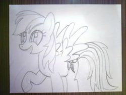 Size: 4608x3456 | Tagged: safe, artist:iamaveryrealperson, photographer:iamaveryrealperson, rainbow dash, pegasus, pony, g4, 2021, art dump, female, looking at someone, looking at something, looking offscreen, mare, monochrome, paper, pencil drawing, raised hoof, sketch, smiling, spread wings, teeth, traditional art, wings