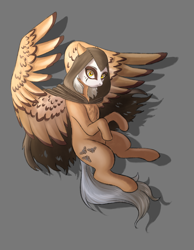 Size: 1120x1440 | Tagged: safe, artist:n0thingbutath0ught, oc, oc only, pegasus, gray background, hood, makeup, simple background, solo