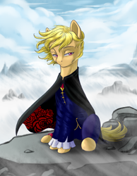 Size: 1120x1440 | Tagged: safe, artist:n0thingbutath0ught, oc, earth pony, cape, clothes