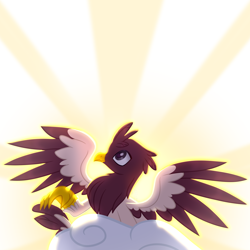Size: 1500x1500 | Tagged: safe, artist:medkit, oc, oc only, unnamed oc, griffon, backlighting, base used, beak, claws, cloud, colored eyelashes, colored lineart, colored pupils, colored wings, eyes open, feather, feathered tail, feathered wings, female, half body, head up, heart, heart eyes, leonine tail, lightly watermarked, looking at something, on a cloud, paint tool sai 2, raised claw, raised head, shading, side view, signature, sitting, sitting on a cloud, solo, spread wings, tail, three quarter view, two toned coat, two toned tail, two toned wings, watermark, wingding eyes, wings