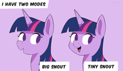 Size: 4000x2300 | Tagged: safe, artist:vital, twilight sparkle, alicorn, pony, g4, comparison, purple background, simple background, snout, text, twilight sparkle (alicorn)