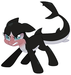 Size: 1172x1243 | Tagged: safe, artist:sinamuna, oc, oc only, oc:verloren, original species, pony, shark, shark pony, au:equuis, angry, bald, base used, fins, fish tail, glare, green eyes, growling, red face, shark fin, shark tail, shaved mane, simple background, solo, tail, transparent background