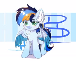 Size: 2478x2000 | Tagged: safe, artist:celedash, oc, oc:bright banner, pegasus, pony, eyelashes, male, pegasus oc, pony oc, simple background, solo